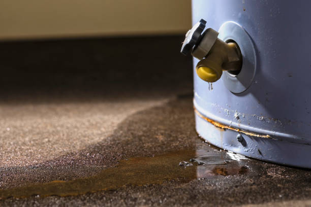 Best Mold removal after water damage  in Greenville, DE