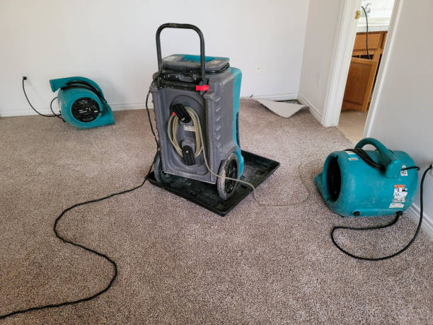 Best Water damage contractors near me  in Greenville, DE