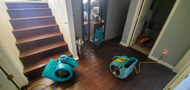 Best Residential water damage restoration  in Greenville, DE