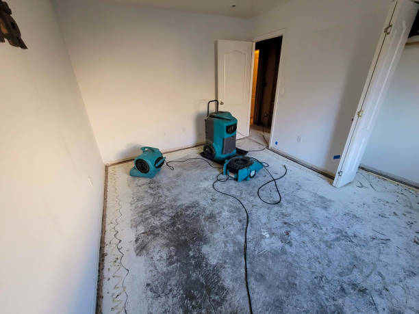 Best Commercial water damage restoration  in Greenville, DE