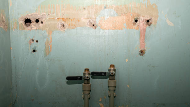 Best 24/7 water damage repair  in Greenville, DE
