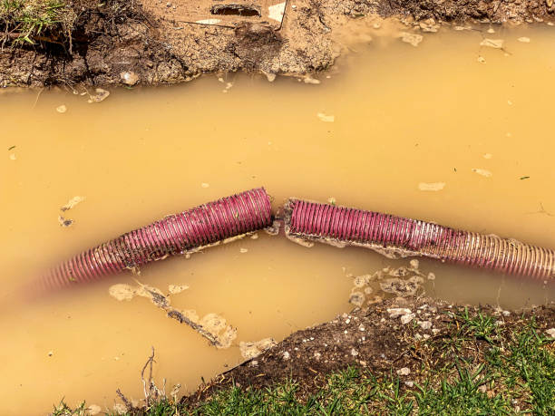 Best Local water damage restoration  in Greenville, DE